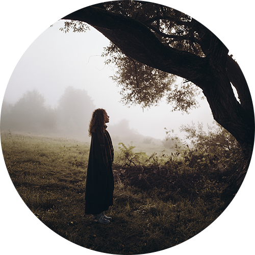 Daniil Kontorovich - February
