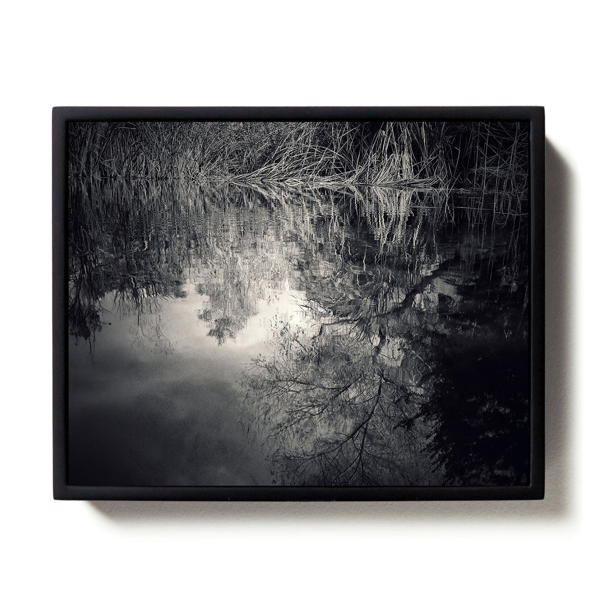Light #3