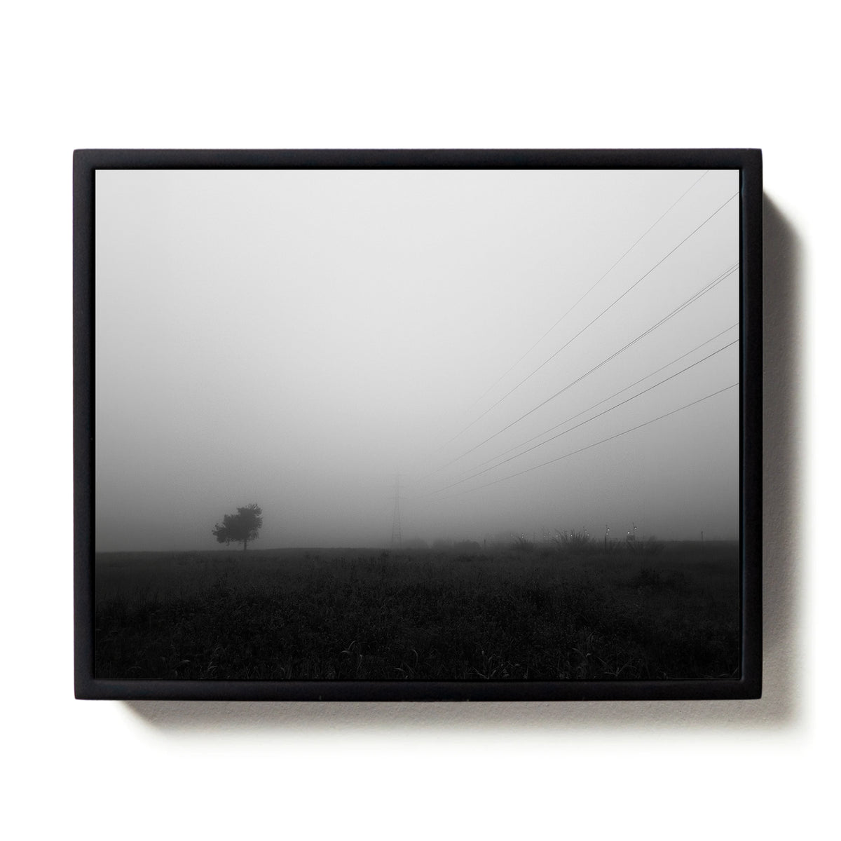 Light #4