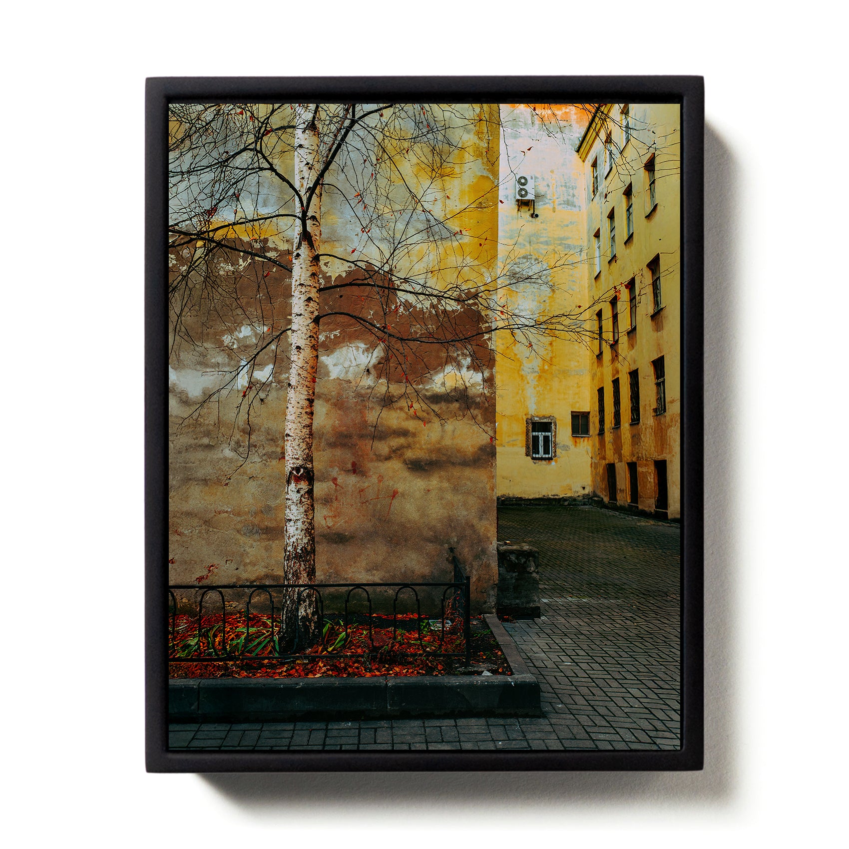 Remnants #4