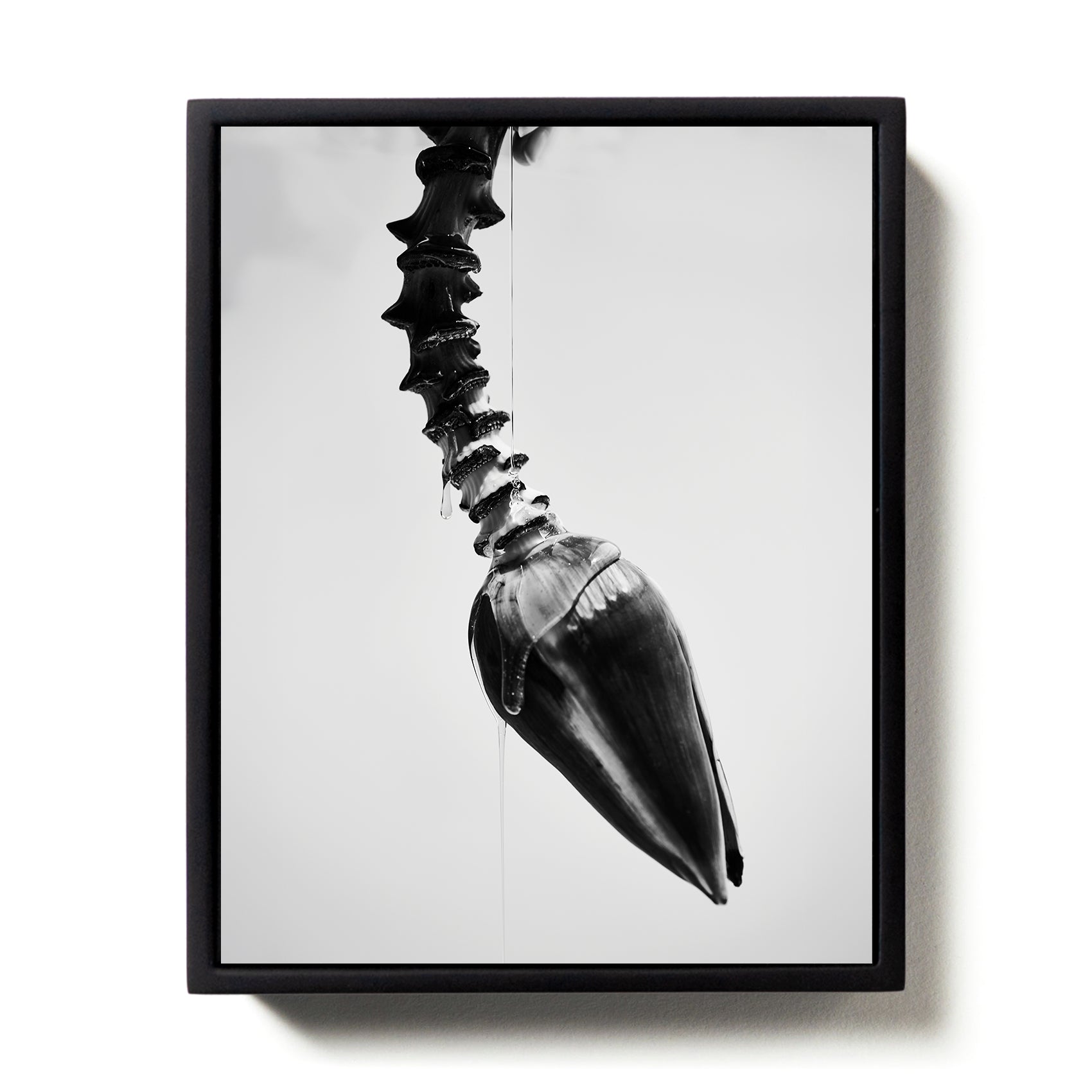 Metaphor #6