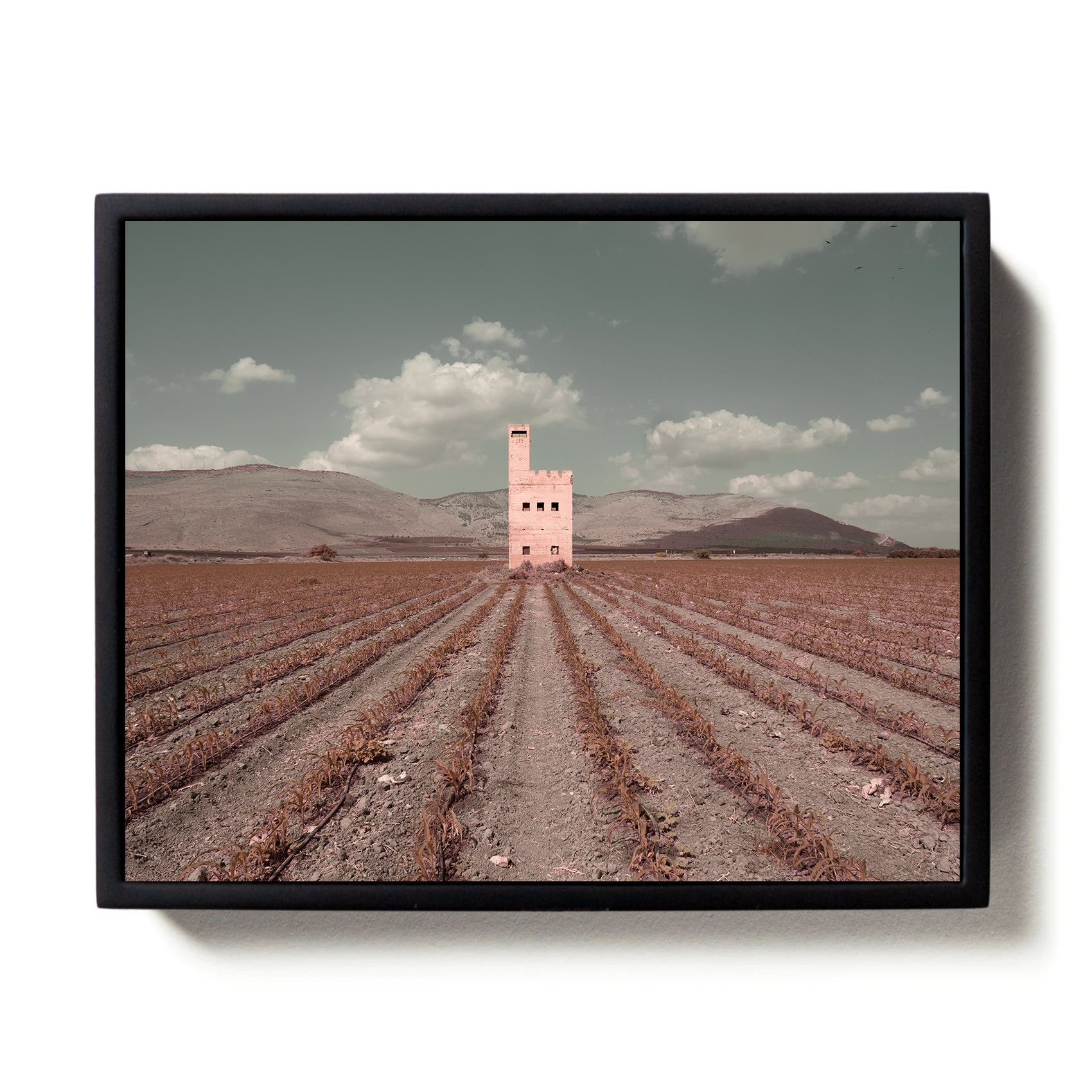 Valley #1